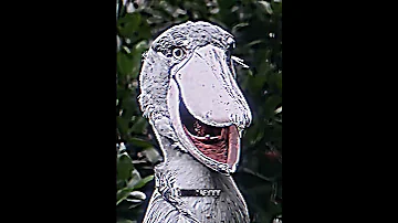 Terrifying Animals MYSTERIOUS MOSE FUNK Trollface Edit 