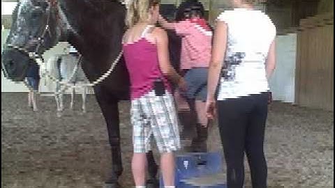 Horse Lesson 2.mpg