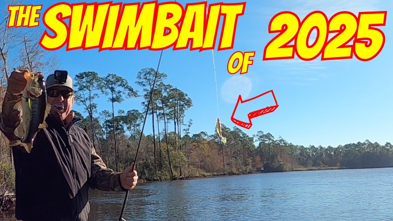 🎣 Winter Bass Fishing on Swimbaits Apalachicola River System