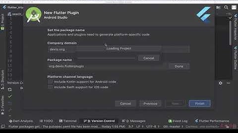 11 2开发flutter插件和包