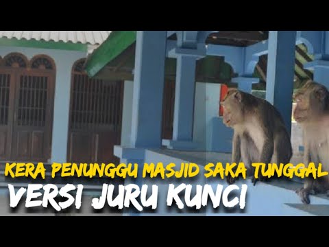 KERA PENUNGGU MASJID SAKA TUNGGAL | VERSI JURU KUNCI