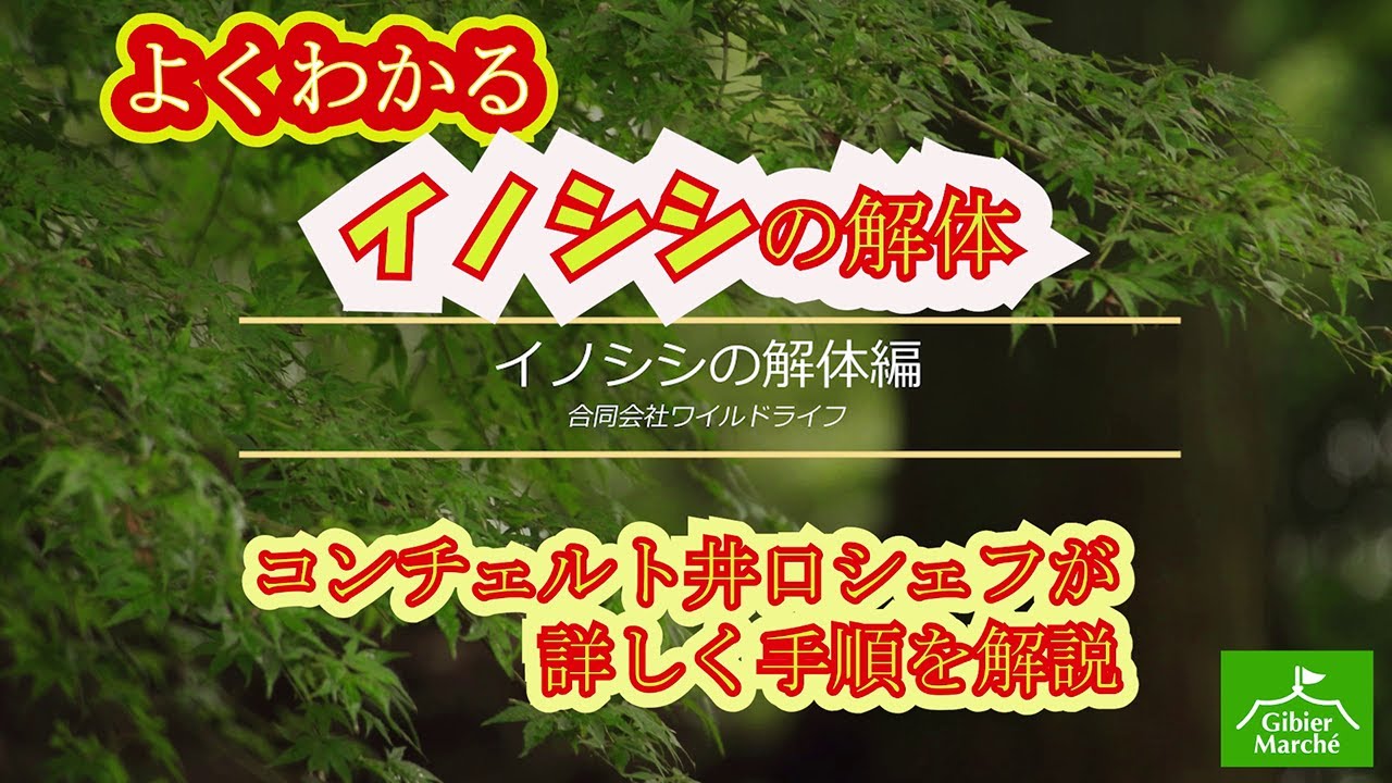 よくわかるイノシシ解体