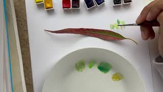 Matching Colours of a leaf - Easy Mode | Watercolour Process