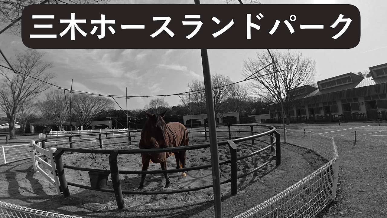 [DR-Z4SM]　馬ツーリング　#automobile #supermoto #dji #insta360x4air