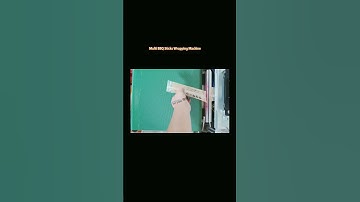 Automatic BBQ Sticks Counting Packaging Machine  Multiple Pieces Pillow Packing Machine | SAYOK