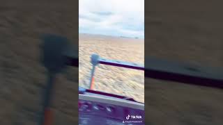Down Corn Iowa 2020