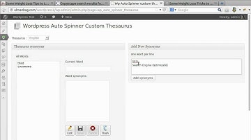 WordPress Auto Spinner v2.0