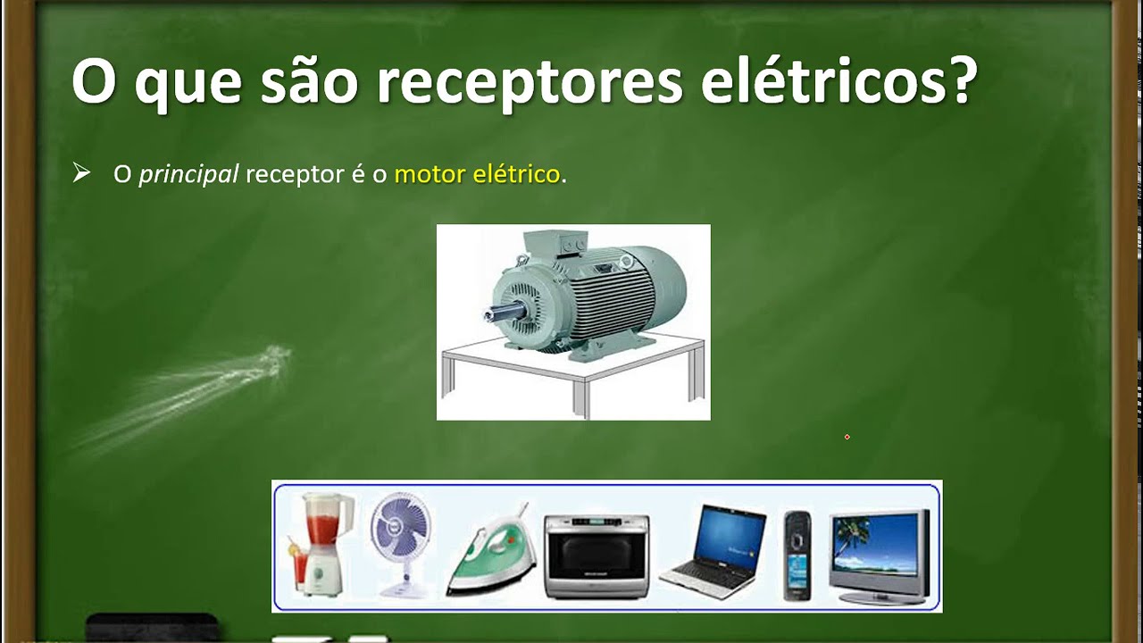 A Respeito Dos Receptores Elétricos Marque A Alternativa Incorreta