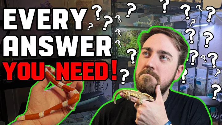 EVERYTHING New Reptile Keepers NEED to know!