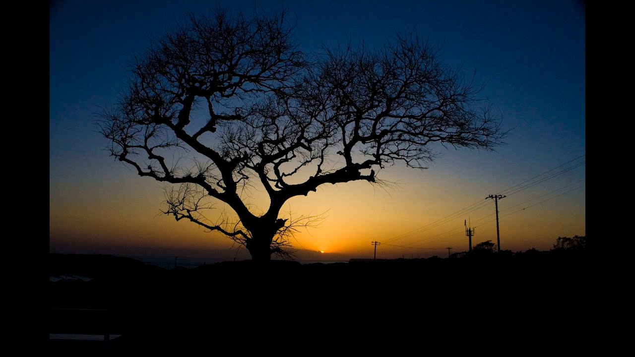 V.A. (土居慶子 KEIKO DOI 平部やよい YAYOI HIRABE) / SESSION 3 (LP