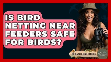 Is Bird Netting Near Feeders Safe For Birds? - Bird Watching Diaries