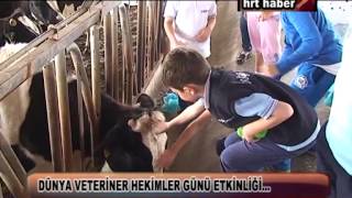 Dünya Veteri̇ner Heki̇mler Günü Etki̇nli̇ği̇