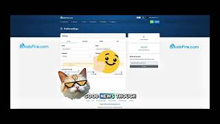 Ad Control Settings – ModsFire Guide #2