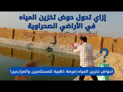سر نجاح المزارع الصحراوية استغلال أحواض المياه في إنتاج أسماك عالية الربحية