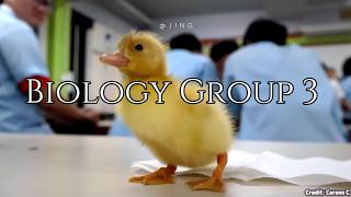 2026 S3 Biology Project Group 3 | feat. JING