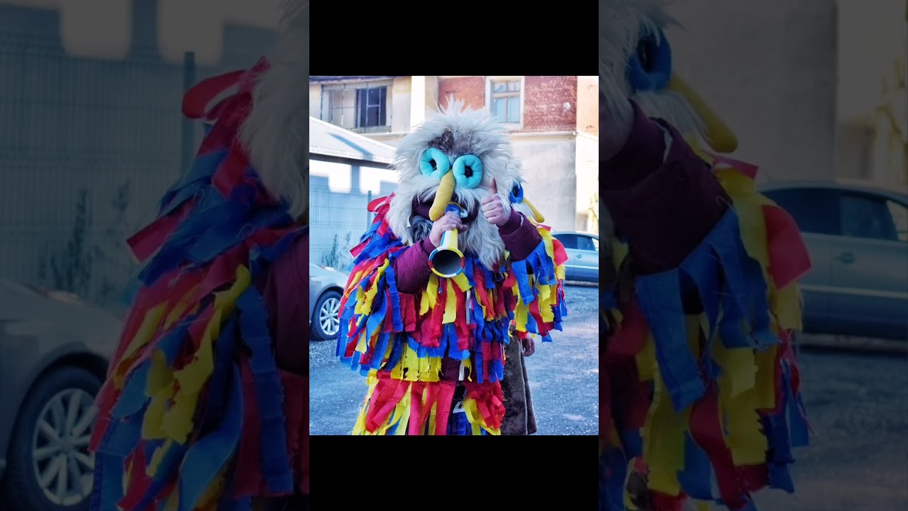 ❤️💛💙 Plug Mare Valea Calugareasca 2022-2023 ❤️💛💙