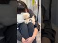 ママの上で大乱闘w