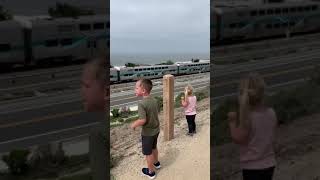 IMG 1721