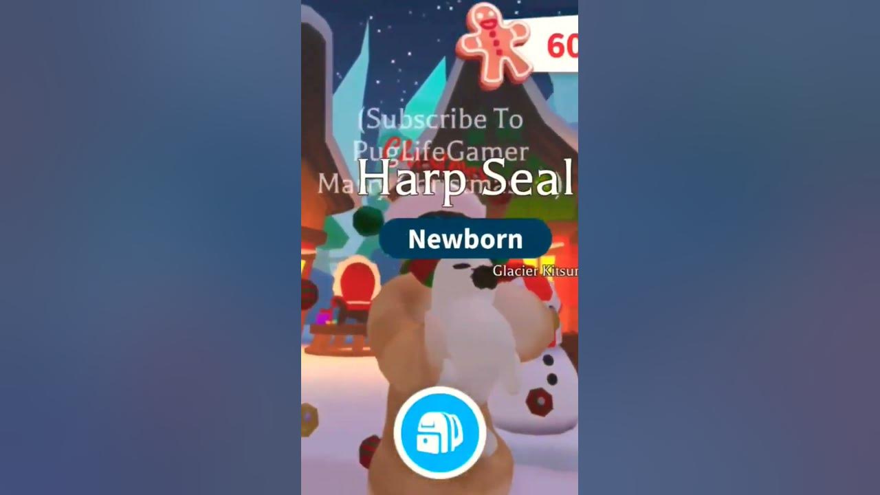 NEW HARP SEAL PET IN ADOPT ME #adoptme #roblox #shorts #foryou #viral