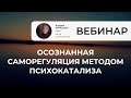 Осознанная саморегуляция методом психокатализа