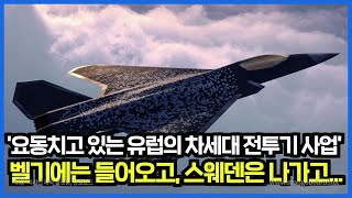 요동치고 있는 유럽의 차세대 전투기 사업, 벨기에는 들어오고, 스웨덴은 나가고...