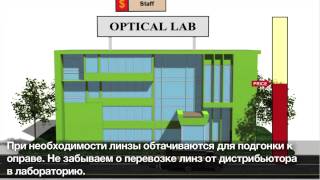 Очки: почему так дорого? Покупайте недорогие (т.е. дешевые) модные очки онлайн.