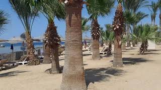 Brayka Bay Reef , Beautiful Beach Marsa Alam , Egypt Resort #brayka