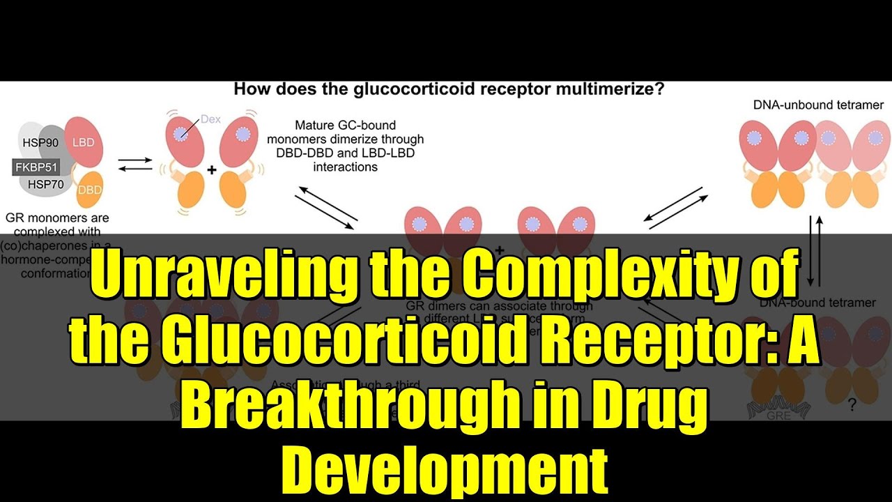 Unraveling the Complexity of the Glucocorticoid Receptor: A Breakthrough in Drug Development