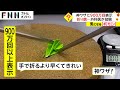 神ワザに900万回表示 折り紙... 外科医が投稿