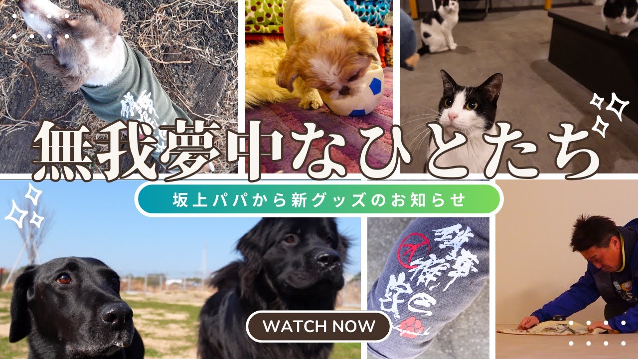 【新グッズ情報あり】無我夢中なひとたち〜おもちゃ大好き♡〜