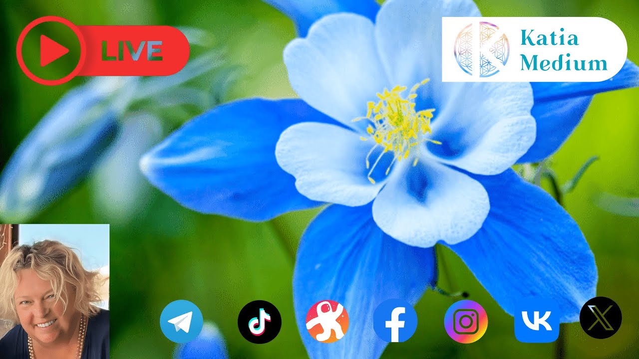 Videos Youtube