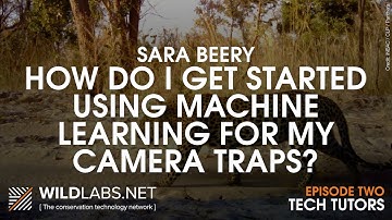 Sara Beery: How do I get started using machine learning for my camera traps?