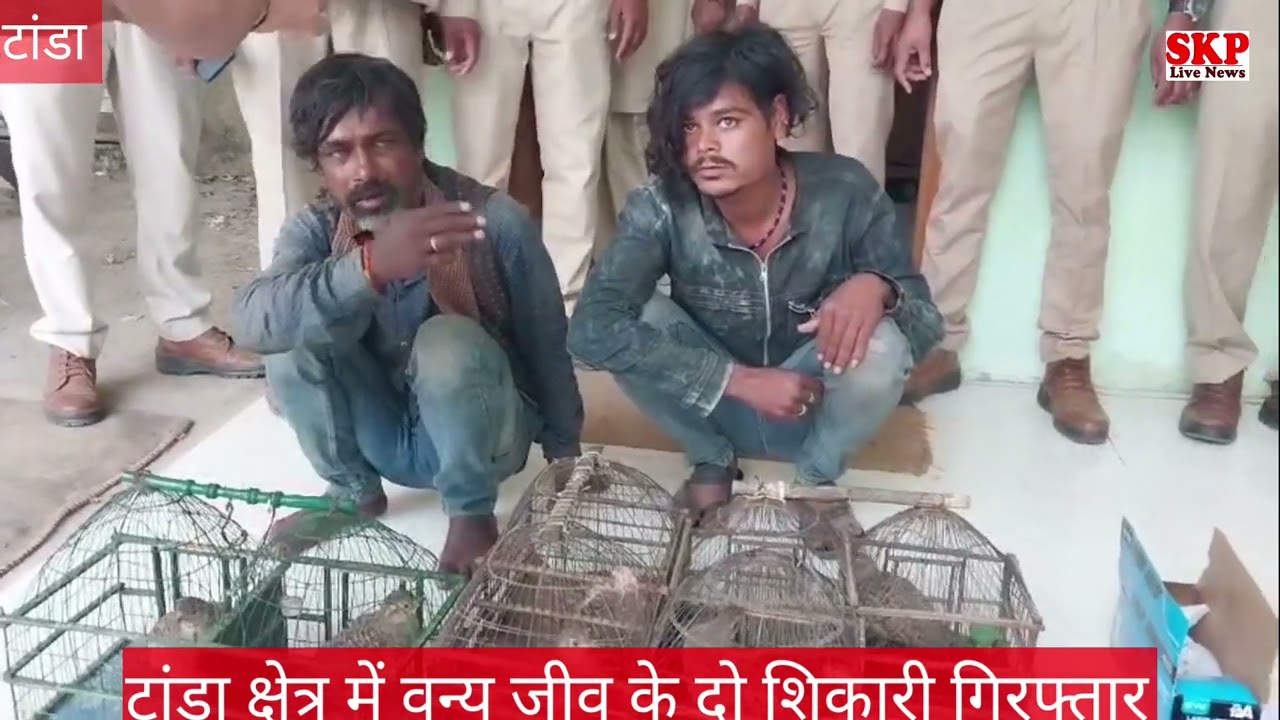 टांडा ।वन्य जीव के दो शिकारी गिरफ्तार, 5 जिंदा तीतर और शिकार की सामग्री की जब्त