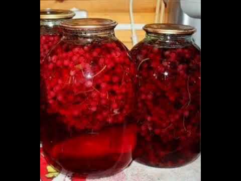 Video: How To Cook Red Currant Compote