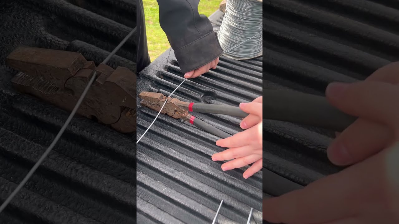 Farm Hack Farming Kids Shortsfeed