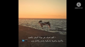 سورة السجدة 🌸🌸🌸حالات واتس القارئ عبد الرحمن مسعد