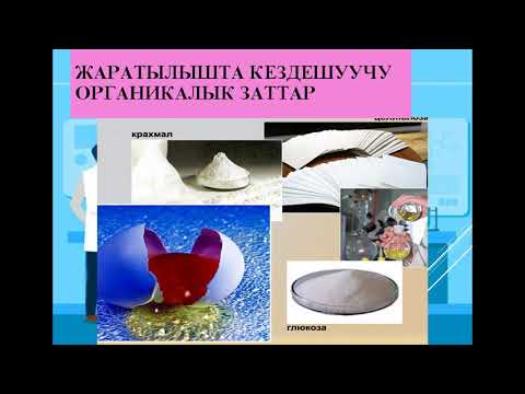 Video: Көмүр кычкыл газы органикалыкбы?