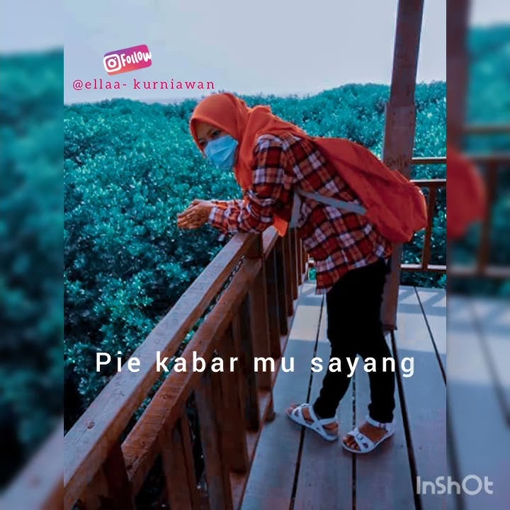Story WA 30detik pie kabarmu sayang