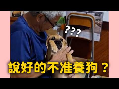 才說不養狗！阿公把狗孫當寶寶抱著哄 嘴裡甜喊：小北鼻要乖乖喔～