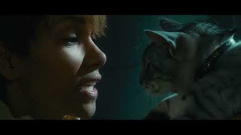 Catwoman (2004) Jail Escape scene 1080p60fps