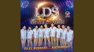 Video thumbnail of "Los Del Sabor S&C - Mi Ritmo Alegre"