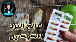 افضل علاج لطيور الكوكتيل والبادجي وعن تجربه