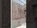 Cement plaster process #construction #plaster #trending #shorts #ytshorts #shortsfeed #civil