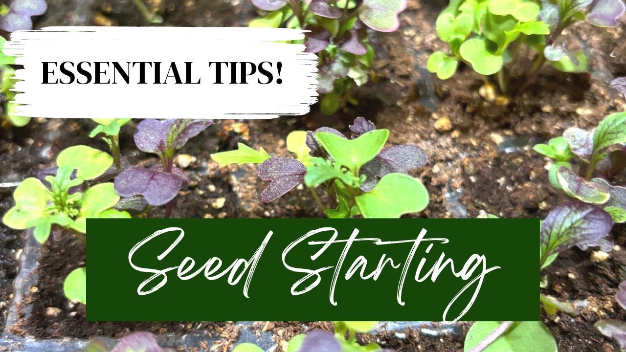 Mastering the Art of Indoor Seed Starting: Essential Tips! - YouTube
