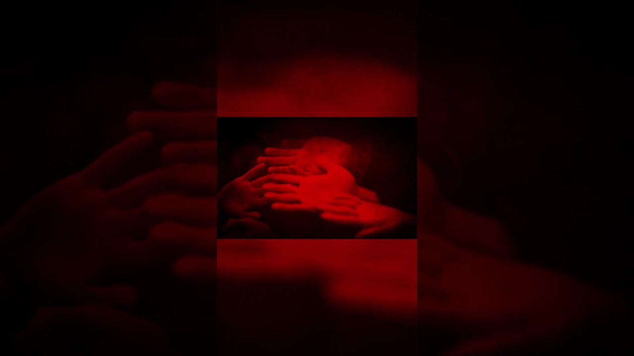 What Exactly Is Lucid Nightmare 