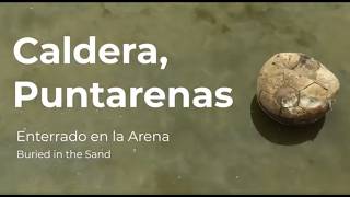 BuriedInTheSand v1