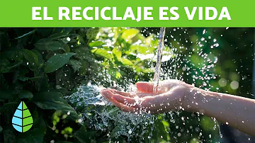 ¿Cuáles son los 7 beneficios del reciclaje?