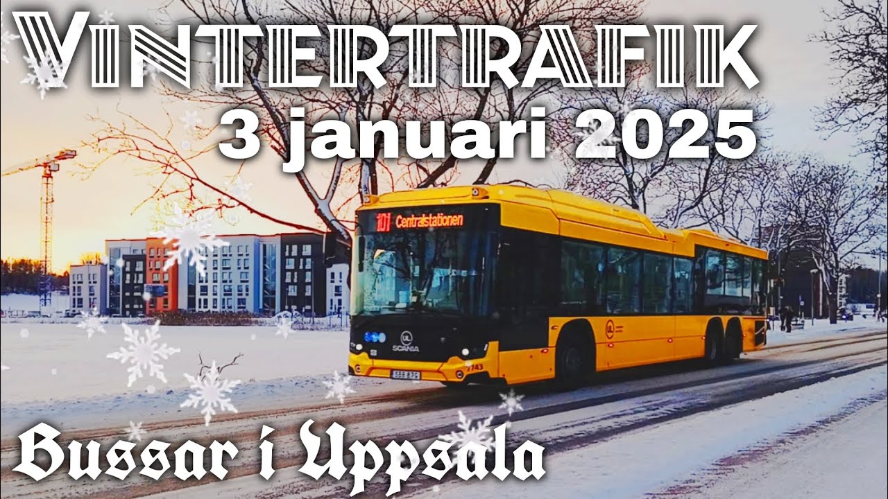 Bussar i Uppsala - VINTERTRAFIK (Ultuna allé), 3 januari 2025