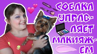 СОБАКА УПРАВЛЯЕТ МОИМ МАКИЯЖЕМ ! СОБАКА УПРАВЛЯЕТ МОИМ МАКИЯЖЕМ !