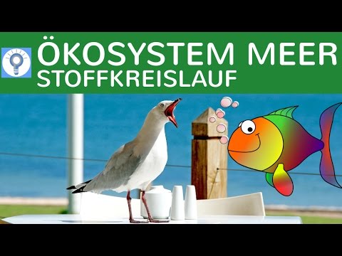 ökosystem Meer ökosystem Meer